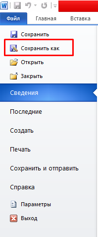 Microsoft Word